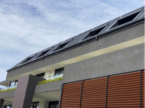 Planter box Malvern Picture 6